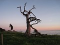 Carpinteria California 2010-02 0960